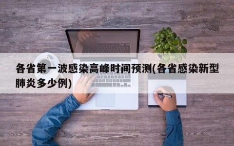 各省第一波感染高峰时间预测(各省感染新型肺炎多少例)