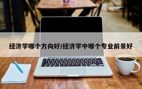 经济学哪个方向好/经济学中哪个专业前景好