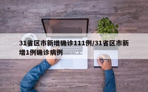 31省区市新增确诊111例/31省区市新增1例确诊病例
